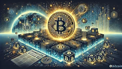 specialized crypto recovery services in the USA