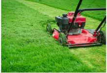 Enhance Your Property's Beauty with Rototillerguy's Premium Lawn Care in Los Angeles