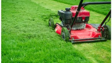 Enhance Your Property's Beauty with Rototillerguy's Premium Lawn Care in Los Angeles