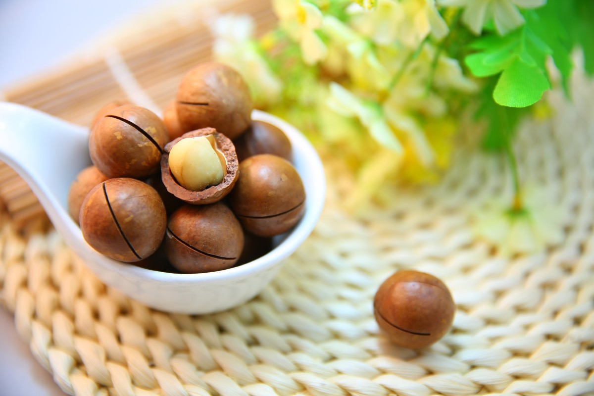 Macadamia Nuts Have 5 Health Benefits You Didn’t Know About