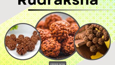 Embracing Rudraksha: A Holistic Approach to Health and Life