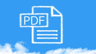 Workshop Manuals in PDF Your Digital Companion