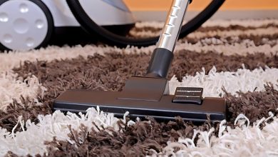 Experience the Difference Professional Carpet Cleaning Services