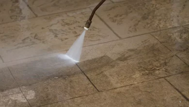 Effortless Cleaning Professional Carpet Cleaning Services at Your Doorstep