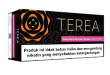 Everything You Need to Know About Terea Blue Indonesian