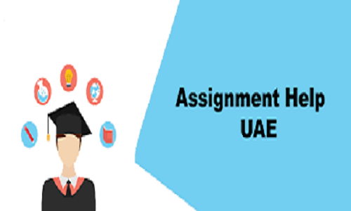 Why Do Students Seek Assignment Help in the UAE?