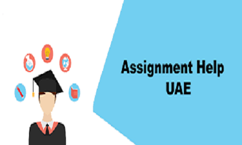 Assignment Help