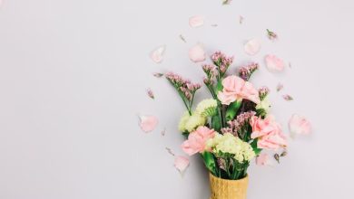 Long List of Beautiful Flowers to give your boyfriend