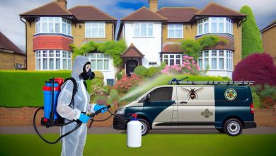 Top-Rated Exterminator Services in Schenectady, NY: A Complete Guide