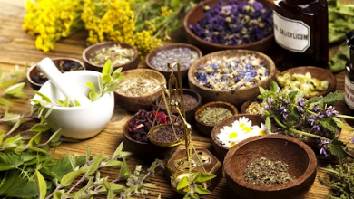 7 Best Stores to Get Traditional Chinese Medicine for Stress