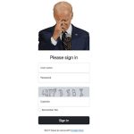 Bidencash